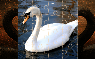 Swan Puzzle Challenge game cover