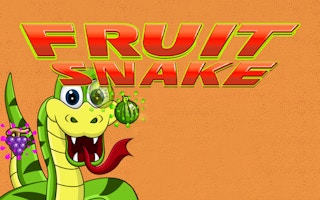 Fruit Snake game cover