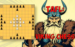 Tafl Viking Chess