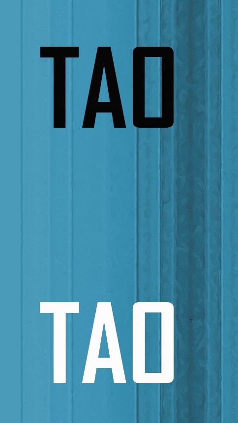 Tao Tao