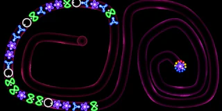 TD Neon Shoot - Zuma thumbnail