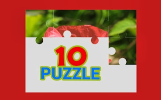 TenPuzzle