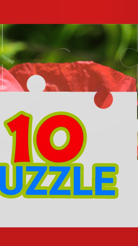 TenPuzzle