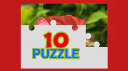 TenPuzzle