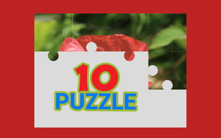 Tenpuzzle game cover