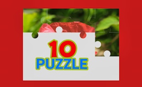 TenPuzzle