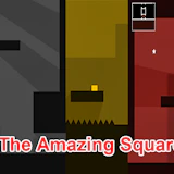 The Amazing Square