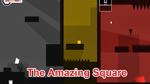 Image for The Amazing Square