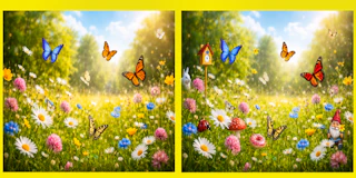 The Difference thumbnail