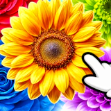 The Flowers Merge and Sell Bouquets