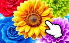 The Flowers Merge and Sell Bouquets