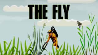The Fly game cover