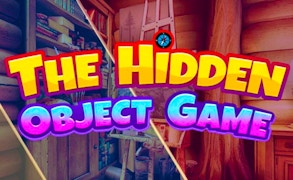 The Hidden Object Game