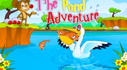 The Pond Adventure