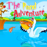 The Pond Adventure