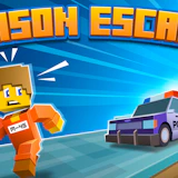 The Prison Escape