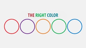 Image for The Right Color