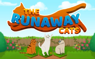 The Runaway Cats