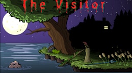 The Visitor