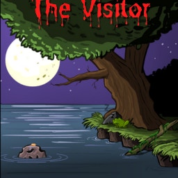 The Visitor