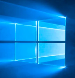 The Windows Game