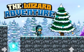 The Wizard Adventure game cover