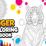Tiger Coloring Book