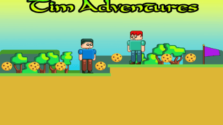 Tim Adventures game cover