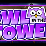 Tiny Owl