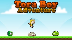 Image for Tora Boy Adventure