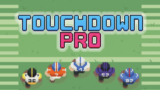Touchdown Pro game cover