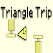 Triangle Trip banner