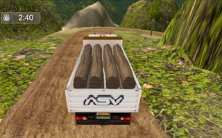 Truck Driver Cargo