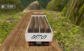 Truck Driver Cargo