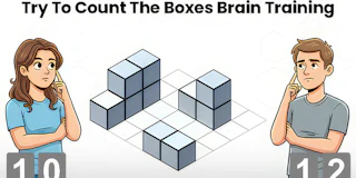 Try To Count The Boxes Brain Training thumbnail