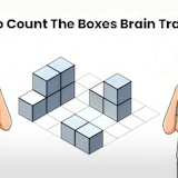 Try To Count The Boxes Brain Training