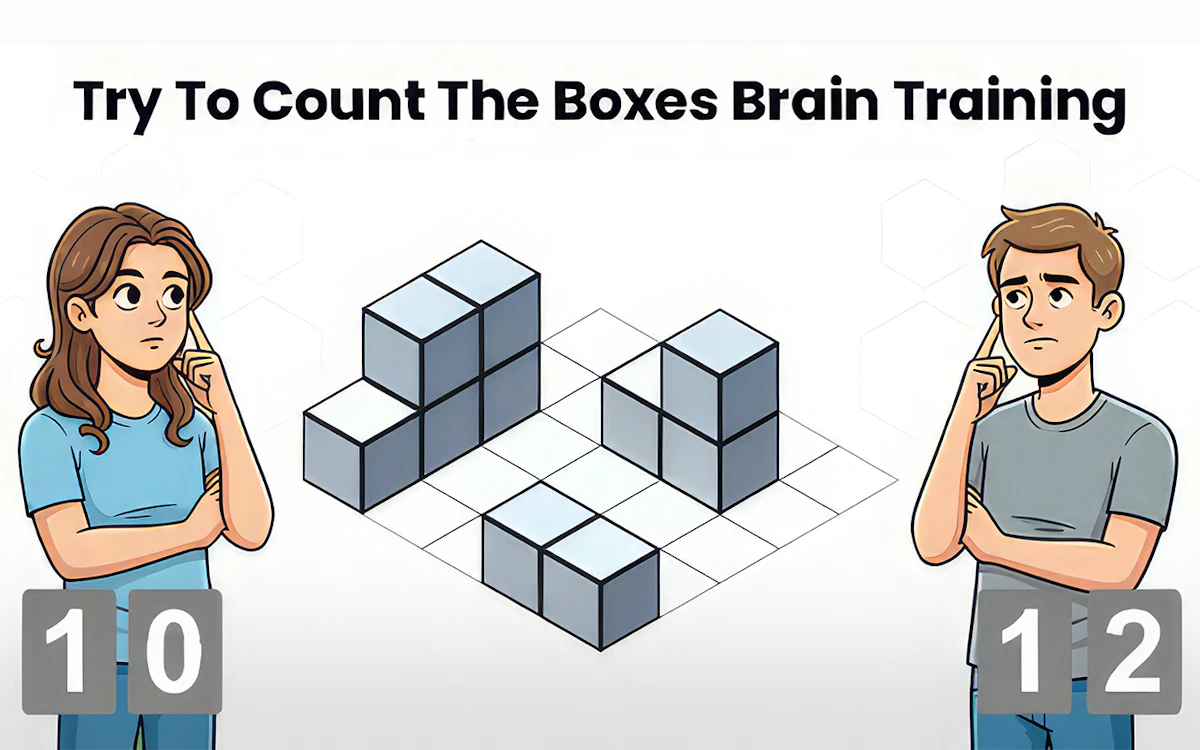 Play Try To Count The Boxes Brain Training — free online Two Player game