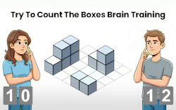 Try To Count The Boxes Brain Training
