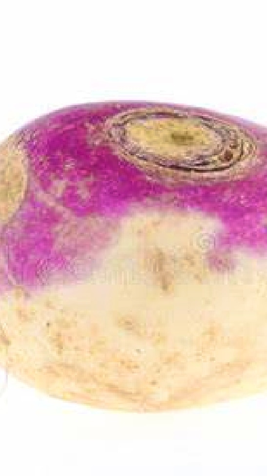 Turnip