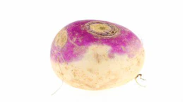 Turnip