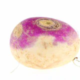 Turnip