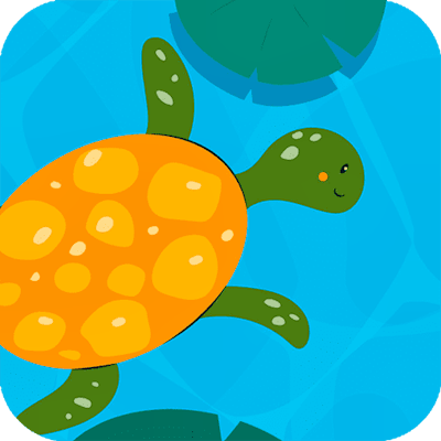 Turtle Math By Gamepix