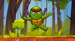 Turtle Ninja