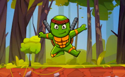 Turtle Ninja