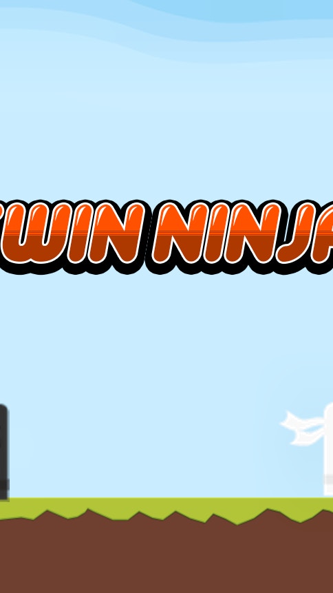 Twin Ninja