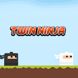 Twin Ninja