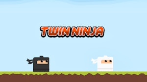 Image for Twin Ninja