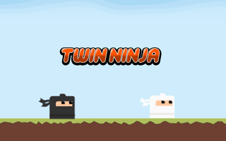 Twin Ninja game cover