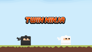 Twin Ninja