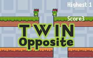 Twin Opposite game cover